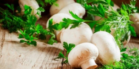 Da li je moguće otrovati se šampinjonima: simptomi i znakovi trovanja, prva pomoć